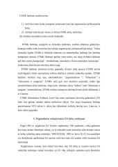 ES transporto politika 14 puslapis