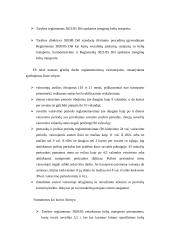 ES transporto politika 16 puslapis