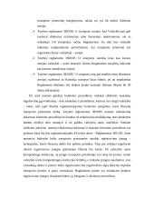 ES transporto politika 17 puslapis