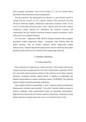 ES transporto politika 19 puslapis