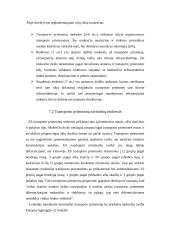 ES transporto politika 20 puslapis