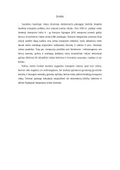 ES transporto politika 3 puslapis