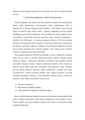 ES transporto politika 10 puslapis