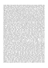 Gamtinių dujų importas į Lietuvą 7 puslapis