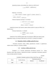 Gyventojų statistinis tyrimas 11 puslapis