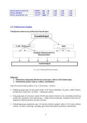 "X" įmonės marketingo tyrimas 3 puslapis