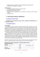 "X" įmonės marketingo tyrimas 8 puslapis