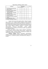 Įmonės "X" veiklos planavimas 9 puslapis