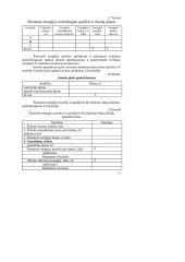 Įmonės "X" veiklos planavimas 10 puslapis