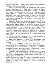"X" įmonės verslo planas 11 puslapis