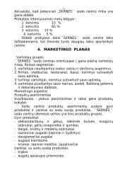 "X" įmonės verslo planas 12 puslapis