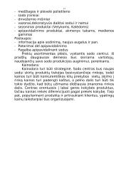"X" įmonės verslo planas 13 puslapis