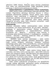 "X" įmonės verslo planas 16 puslapis