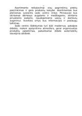 "X" įmonės verslo planas 17 puslapis