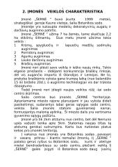 "X" įmonės verslo planas 5 puslapis