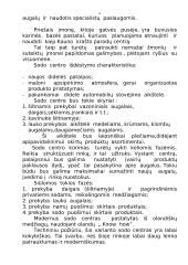 "X" įmonės verslo planas 6 puslapis