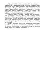 "X" įmonės verslo planas 10 puslapis