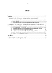 Individualių įmonių ir ūkinių bendrijų veiklos problemos 2 puslapis