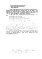 Individualių įmonių ir ūkinių bendrijų veiklos problemos 6 puslapis