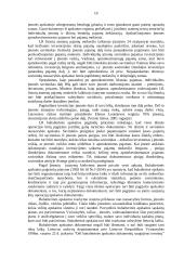 Individualių įmonių ir ūkinių bendrijų veiklos problemos 10 puslapis