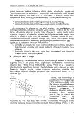 Infliacija ir nedarbas pagal teoriją ir praktiką 11 puslapis