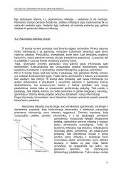 Infliacija ir nedarbas pagal teoriją ir praktiką 13 puslapis