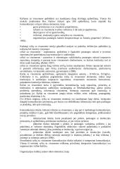 Integruotos komunikacijos samprata 12 puslapis