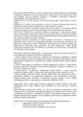 Integruotos komunikacijos samprata 13 puslapis
