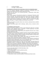 Integruotos komunikacijos samprata 14 puslapis