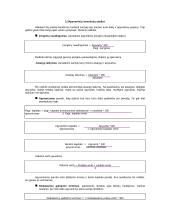 Investicijų politikos analizė 2 puslapis