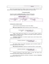 Investicijų politikos analizė 3 puslapis