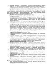 Investicinė ekonomika 12 puslapis