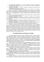 Investicinė ekonomika 13 puslapis
