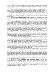 Investicinė ekonomika 14 puslapis