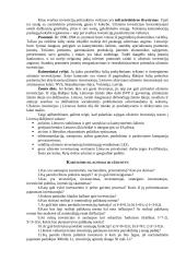 Investicinė ekonomika 15 puslapis