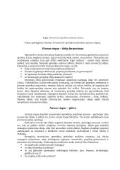 Investicinė ekonomika 17 puslapis