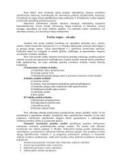 Investicinė ekonomika 18 puslapis