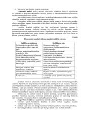 Investicinė ekonomika 19 puslapis