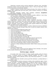 Investicinė ekonomika 20 puslapis