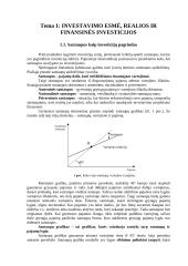 Investicinė ekonomika 4 puslapis