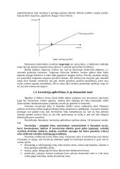 Investicinė ekonomika 5 puslapis