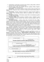 Investicinė ekonomika 6 puslapis