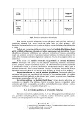 Investicinė ekonomika 7 puslapis