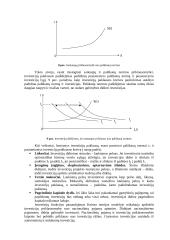 Investicinė ekonomika 10 puslapis