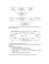 Įvadas į finansus 3 puslapis