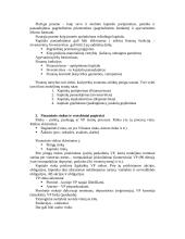 Įvadas į finansus 4 puslapis