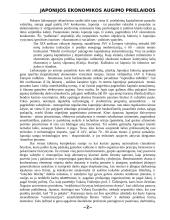 Japonijos ekonomikos augimo prielaidos 2 puslapis