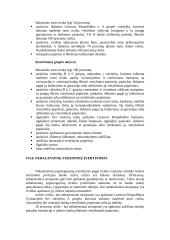 Kapitalo analizė 8 puslapis