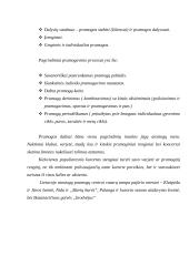 Laisvalaikio ir pramogų turizmas 14 puslapis