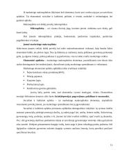 Marketingo programos kūrimas 10 puslapis